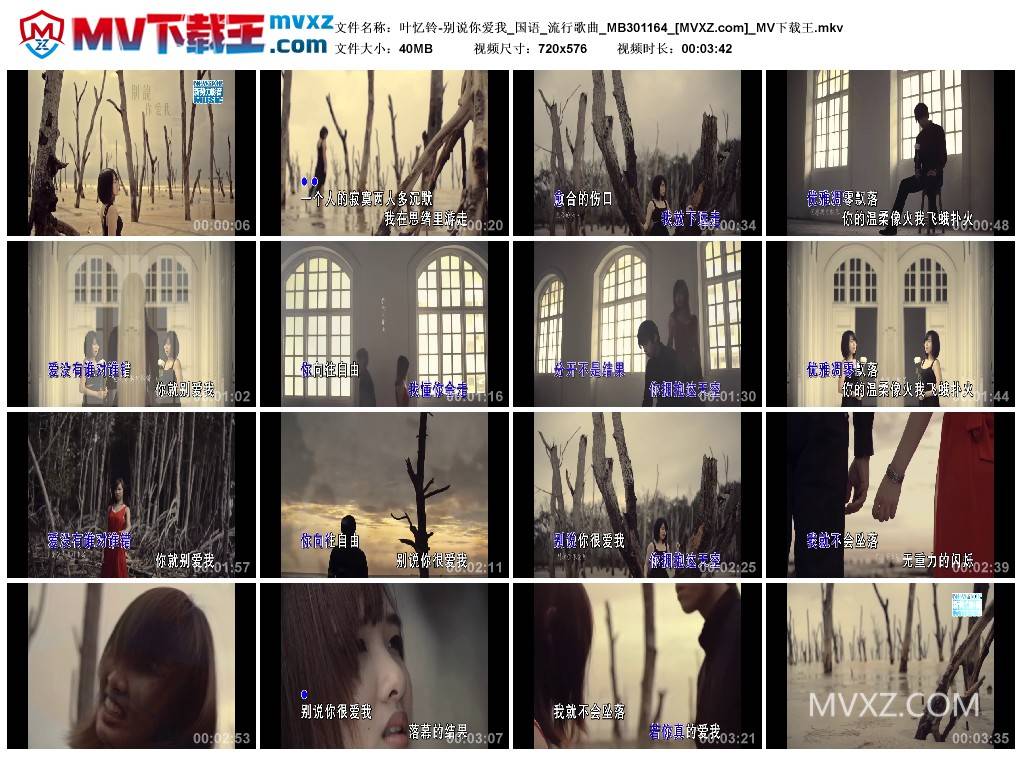 叶忆铃-别说你爱我_国语_流行歌曲_MB301164